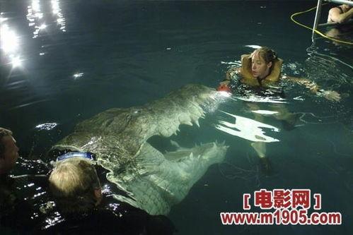 逃亡鳄鱼岛在线观看 第3张 逃亡鳄鱼岛在线观看 第3张